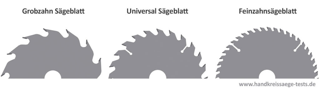 Sägeblatt-Arten